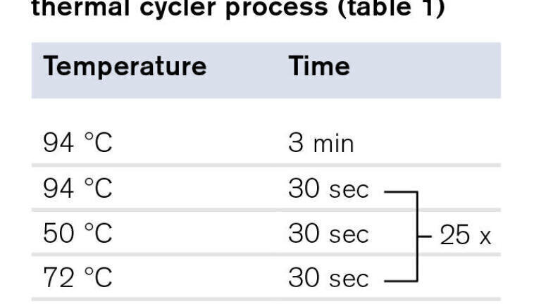 Brand PCR plates and PCR sealing films - a perfectly adjusted system