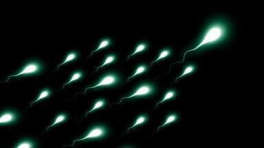 What's Behind the Massive Sperm Count Drop?