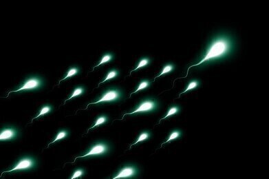 What's Behind the Massive Sperm Count Drop?