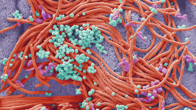 Scientific Imaging Competition Winners