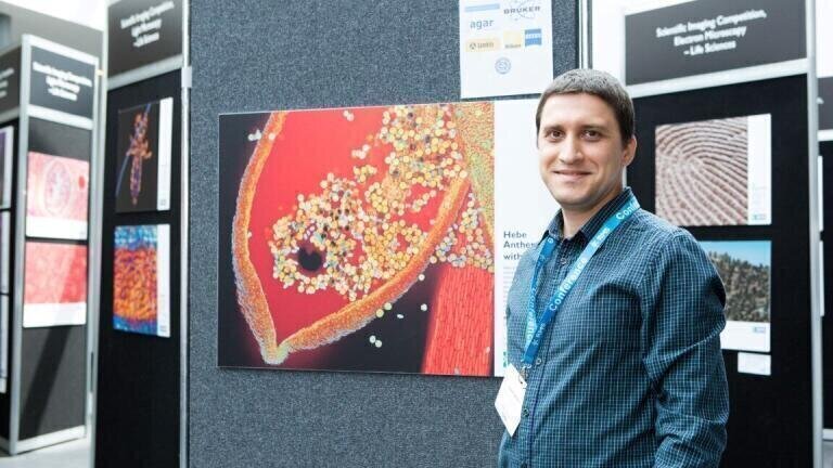 Scientific Imaging Competition Winners