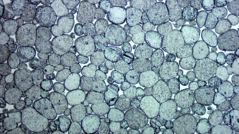 Heavy Metal on a Tungsten Basis with High Radiation Absorption Capacity Offers an Ecological Alternative to Toxic Lead
