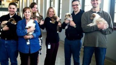 Premium Pipette Tips Help to put the Focus on Canine Genetics