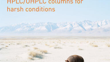 Columns for Fast Lab Analysis and Purification