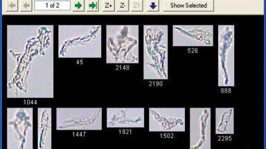 Particle Analyser to Automatically Image Nanoparticles for Identification Introduced