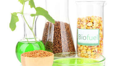 Unifying the Biofuels Industry 