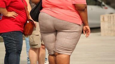 Are Childhood Obesity Rates Still Rising?