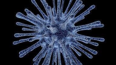What's the Difference Between RNA and DNA?