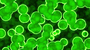 New Centre to Spearhead UK Research in Synthetic Biology