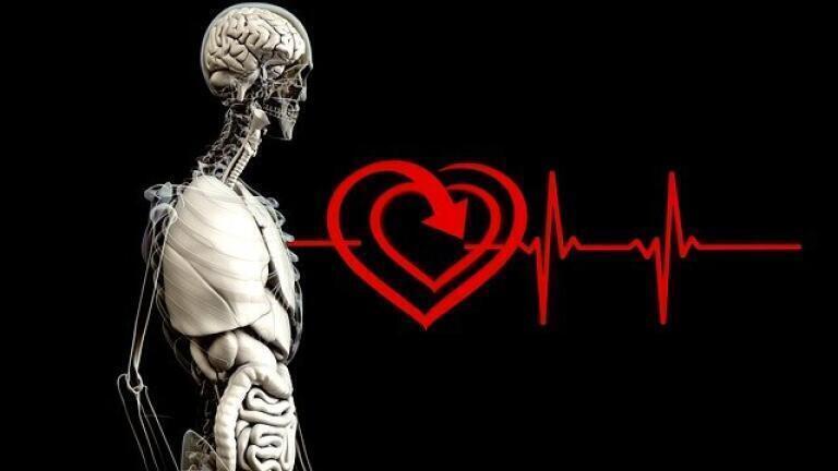 What is a Robot Heart?