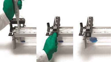 Serial Dilution Bags Greatly Benefit Microbiological Food Testing