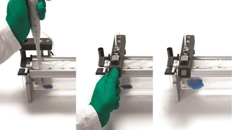 Serial Dilution Bags Greatly Benefit Microbiological Food Testing