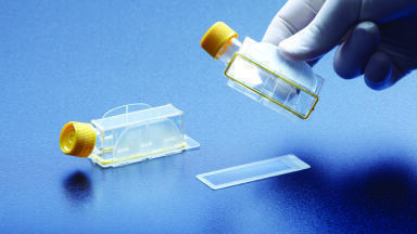 Cell Culture Flask with Removable Microscope Slide Provides Superior Measurements for Fluorescence Applications