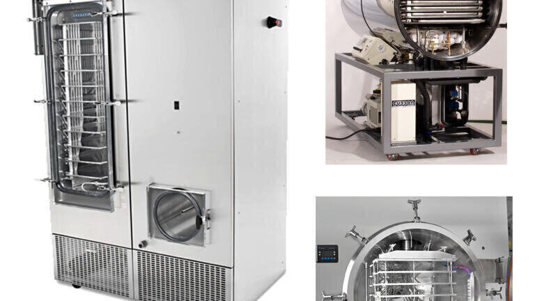 Can Bulk Freeze drying be Successfully Adopted into Pharmaceutical R&D?