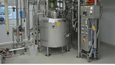 International (Bio) Pharmaceutical Inventory Under the Virtual Hammer