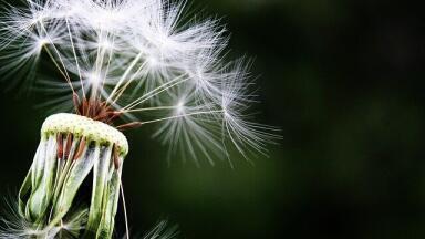 Is It Possible to Stop Allergies?