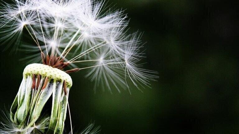 Is It Possible to Stop Allergies?