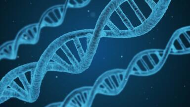Is There an "App" for Human Genome Sequencing?