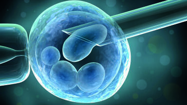 Advanced Accuracy and Precision in Nanolitre Microinjection