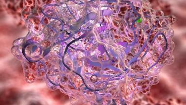 Why Pre-formulation Studies are Crucial to Successful Drug Development