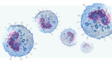 Agreement Opens Access to Cell Line Libraries for Antibody Discovery
