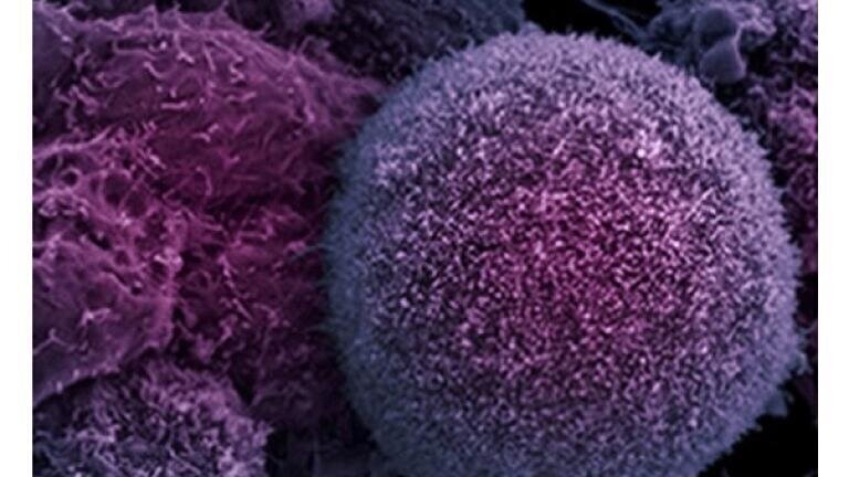 Photonic and Optoelectronic Materials April 9-10