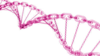 High Throughput PARP Screening Assay