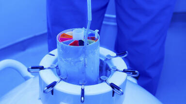 Cryopreservation of Hematopoietic Stem Cells