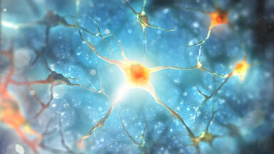 Isogenic Panels of Neuronal iPSC Derivatives