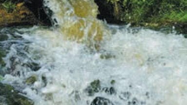 Fast and Accurate Drinking Water Analysis