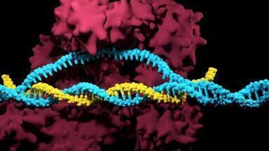 Pirbright Team to Investigate Potentially Safer Gene-Drive Techniques