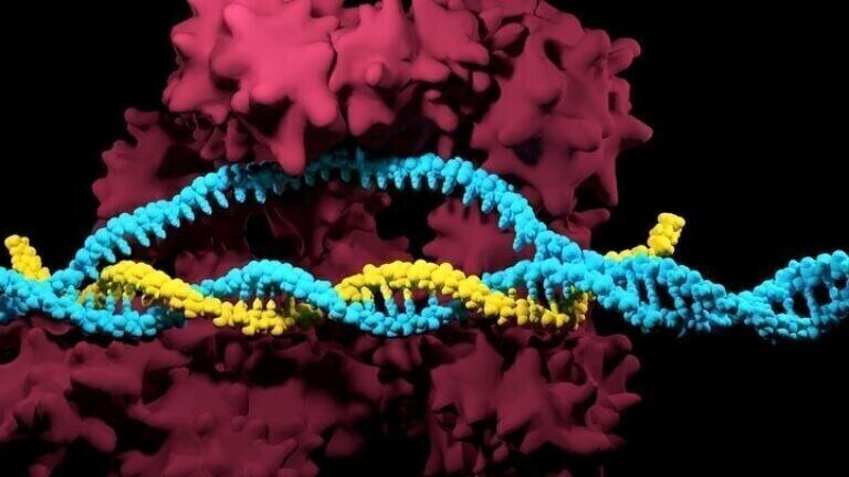 Pirbright Team to Investigate Potentially Safer Gene-Drive Techniques