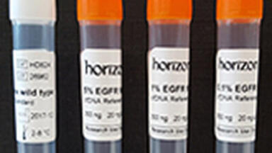 cfDNA Reference Standard for EGFR Mutations Introduced