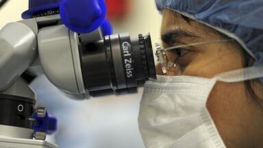 When Was the First Organ Transplant?
