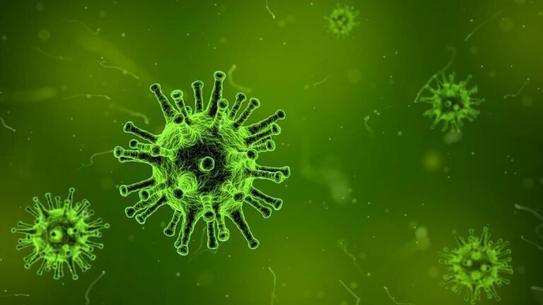 What is Disease X?