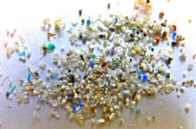 Is Microplastic Pollution Getting Worse?