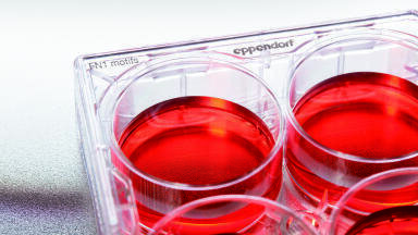 Ready-to-use, Synthetic Surface Cultureware for Human Induced Pluripotent Stem Cells Announced