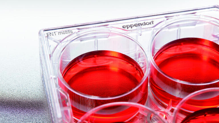 Ready-to-use, Synthetic Surface Cultureware for Human Induced Pluripotent Stem Cells Announced