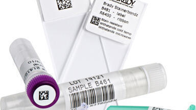 Brady Laboratory Identification: The reference in sample labelling
