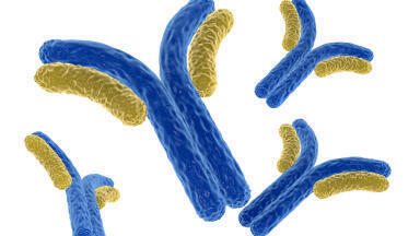 Search thousands of antibodies to find your match