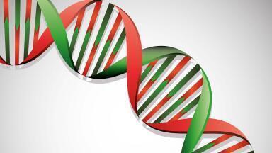 High Throughput Gene Expression Analysis Service  