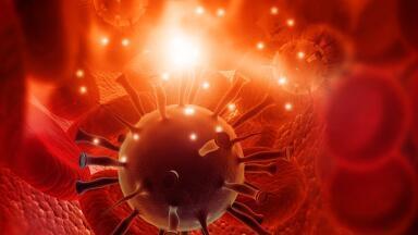 Reporter Lentivirus for Signalling Pathway Studies