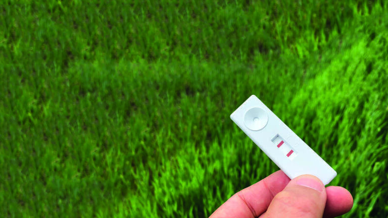 Project Provides Blackgrass Resistance Diagnostic