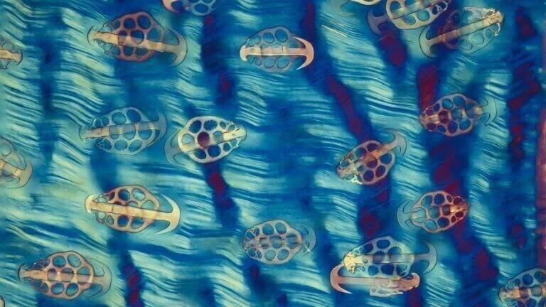Celebrating Art in Science