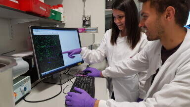 Consortium to Advance Methods for Manufacture of Gene Therapies