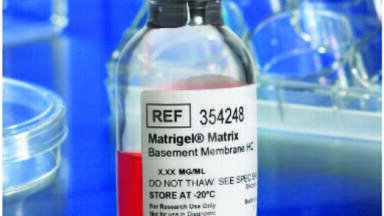 Corning Matrigel Matrix