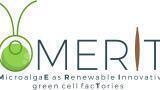 The MERIT of Working with Microalgae