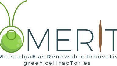 The MERIT of Working with Microalgae