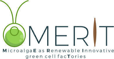 The MERIT of Working with Microalgae