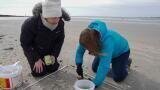 Science on the Beach